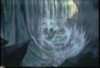 Effects Animation